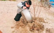 阳春三月，正“植”有你